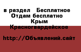  в раздел : Бесплатное » Отдам бесплатно . Крым,Красногвардейское